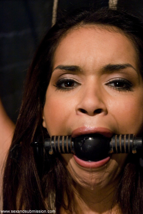 Busty lady girl Daisy Marie ends her torture by agreeing to blow penis