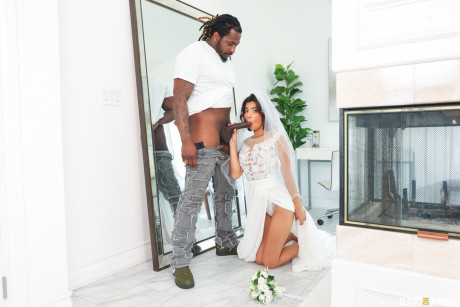 Dogfart Network featuring Hazel Heart, Rob Piper XXX Pictures