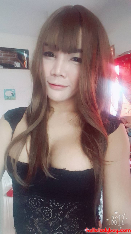 Hello tgirl