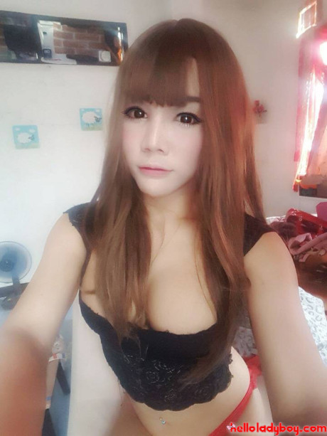 Hello tgirl