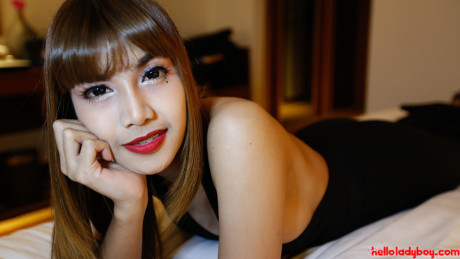 Hello lady boy