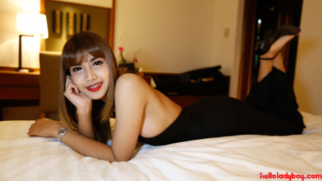 Hello lady boy
