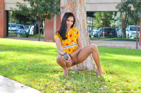 Babe Viva flashes her hot twat in public while posing in her summer dress