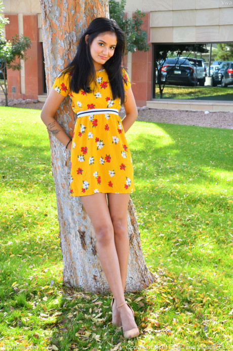 Babe Viva flashes her hot twat in public while posing in her summer dress