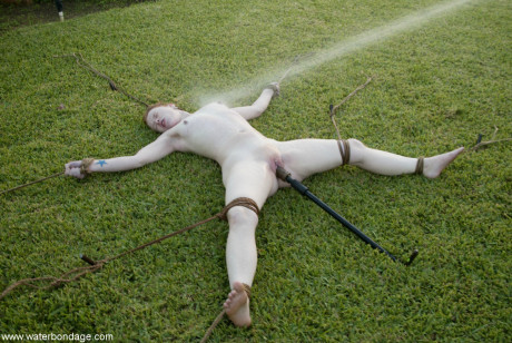 Bound slave whore girlfriend woman Madison fresh teenie gets her pierced snatch toyed outdoors