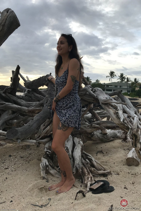 Teenie Mi Ha Doan flashes her tits and exposes her furry cunt on the beach