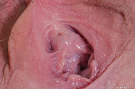 Hairy American housewife Katie Zucchini displays her bushy crotch up close