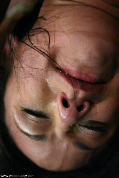 Wired snatch Nadia Styles, Princess Donna Dolore