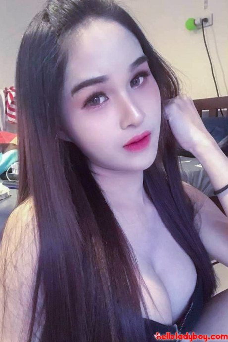 Hello ladyboy