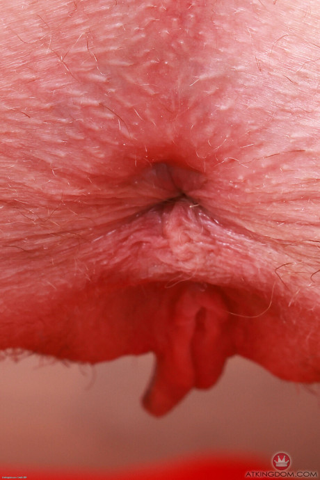 ATK Galleria performed by Sophia Sterling nude Porn Pics