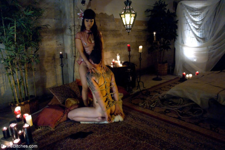 Divine ladies performed by Derrick P , DragonLily Hot Porn