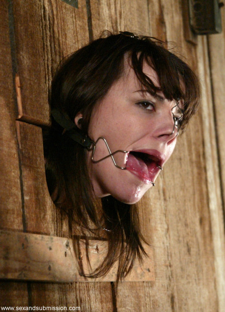 Sex And Submission Dana DeArmond, Mark Davis