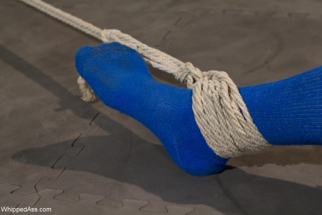 Bound bitch Bella Wilde gets blows lezdom Bobbi Starr's snatch & butt