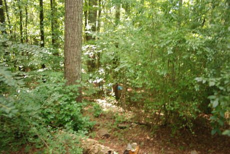 Insatiable amateur swinger wives getting drilled in an interracial debauchery