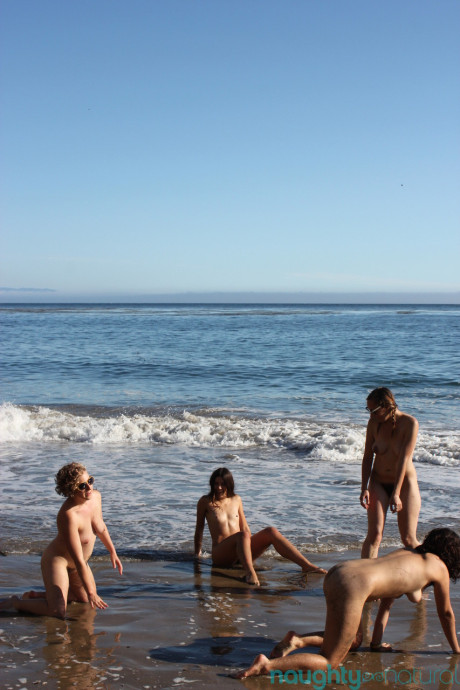 Wild Natural Ava Solanas, Felix, Maggie Mayhem, Nikki Silver