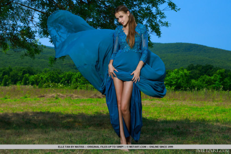 Cute young Elle Tan gets totally undressed on a blanket in a field by a tree