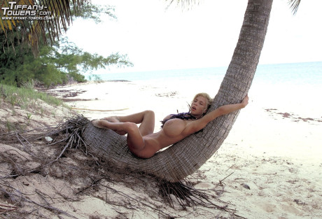 Massive Boob Bundle starring Tiffany Towers naked Images