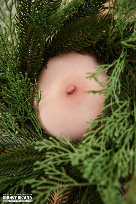 Stunning young Toree gets completely nude after decorating a Christmas tree
