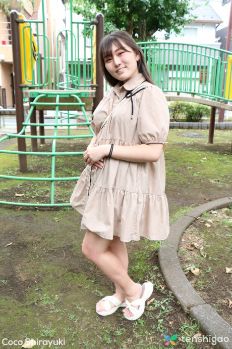 Tenshigao Cocoa Shirayuki