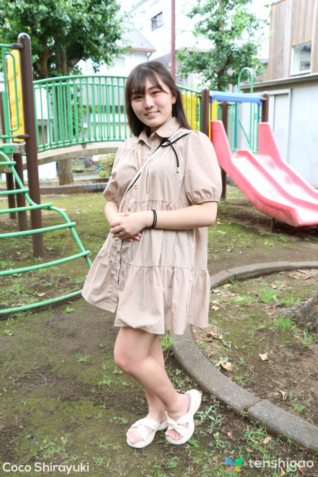 Tenshigao Cocoa Shirayuki