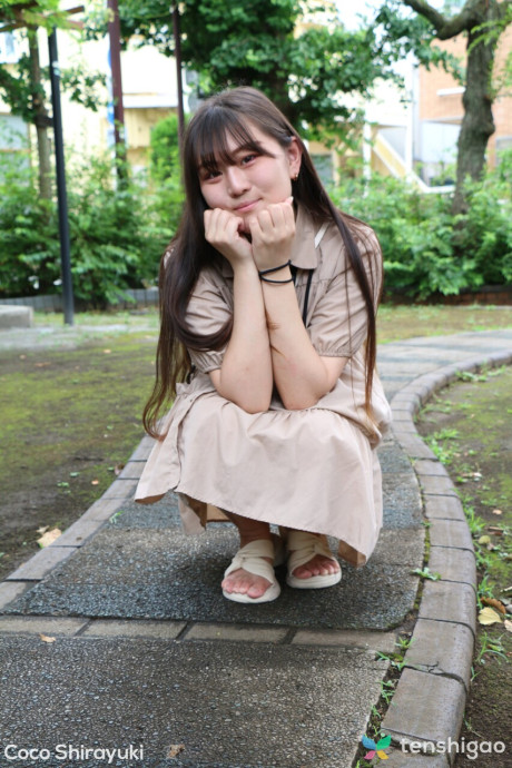 Tenshigao Cocoa Shirayuki