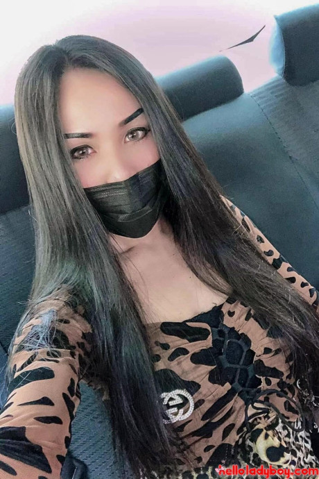 Hello transsexual