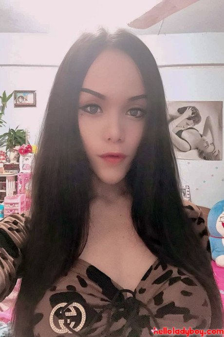 Hello transsexual