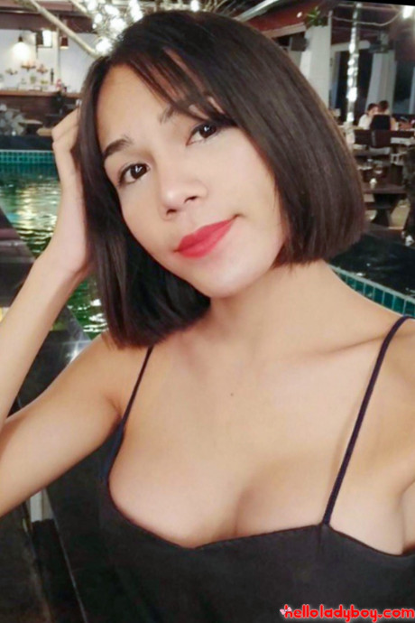Hello transsexual