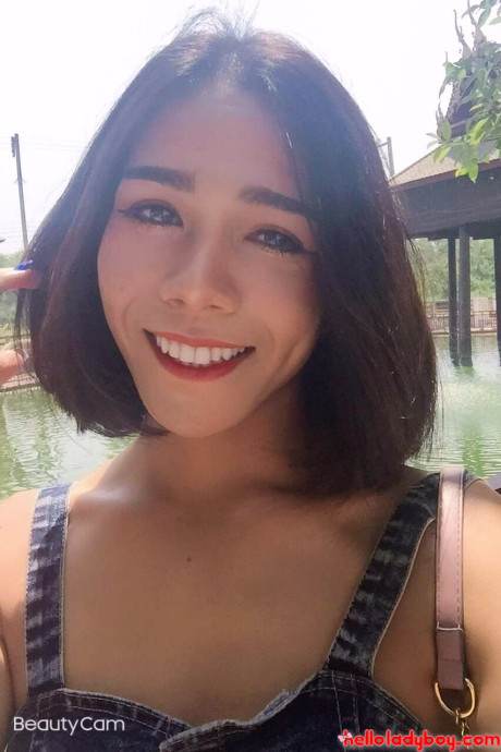 Hello transsexual