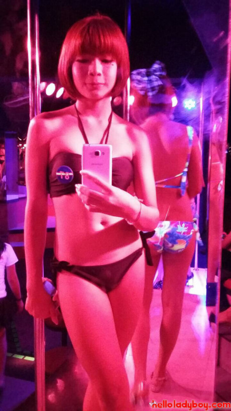 Hello tranny