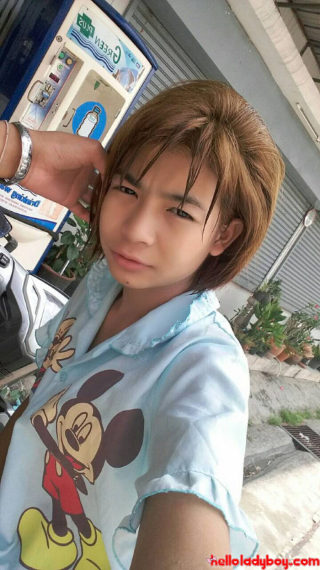 Hello tranny