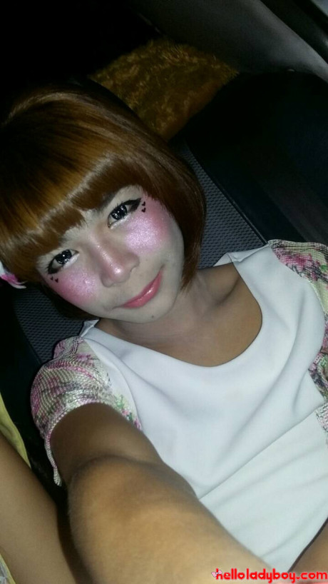 Hello tranny