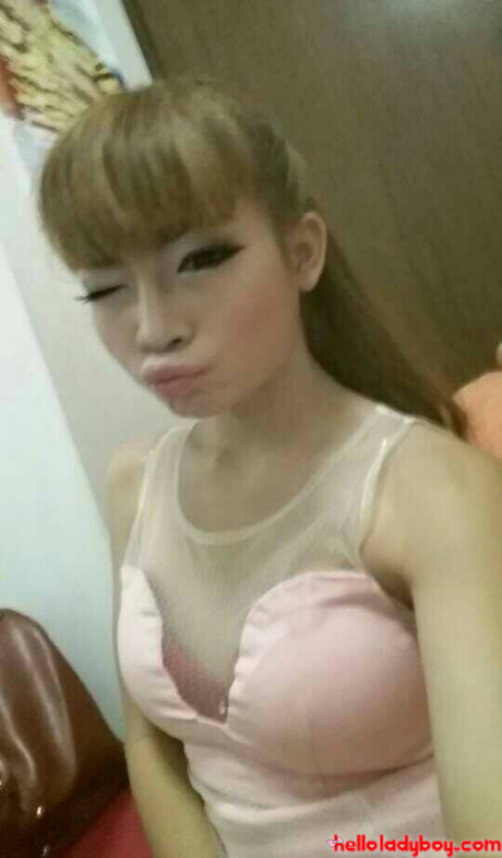 Hello tranny