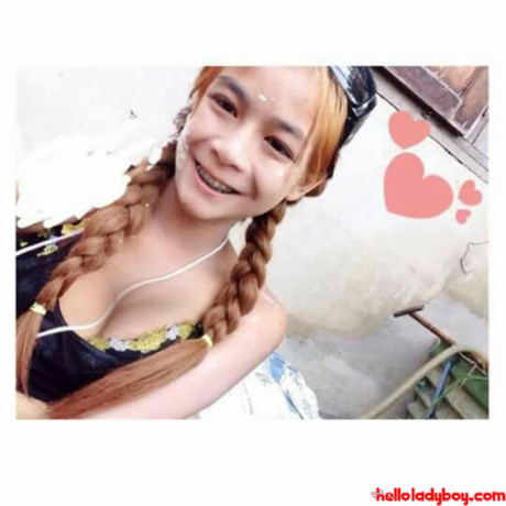Hello tranny