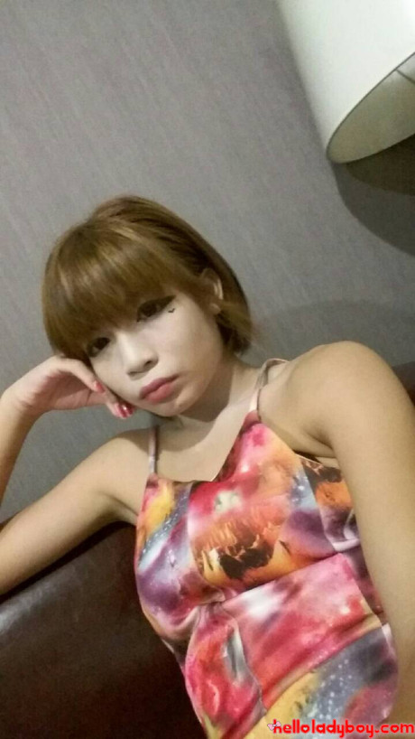 Hello tranny