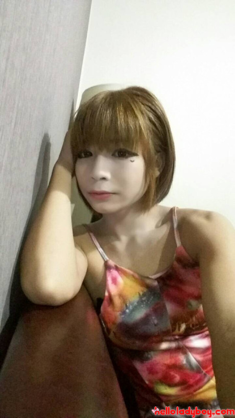 Hello tranny