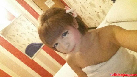 Hello tranny