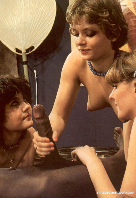 Two cute hoes get their hairy cunts sexed by a BBC in a vintage debauchery
