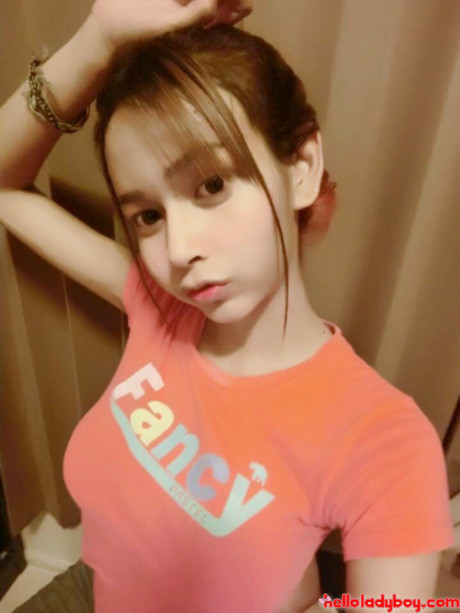 Hello ts