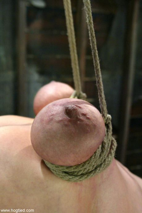 Busty sweety Dee Williams has her massive melons tightly bound with rope