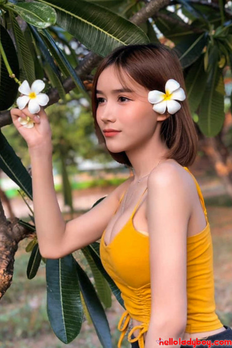 Hello lady boy