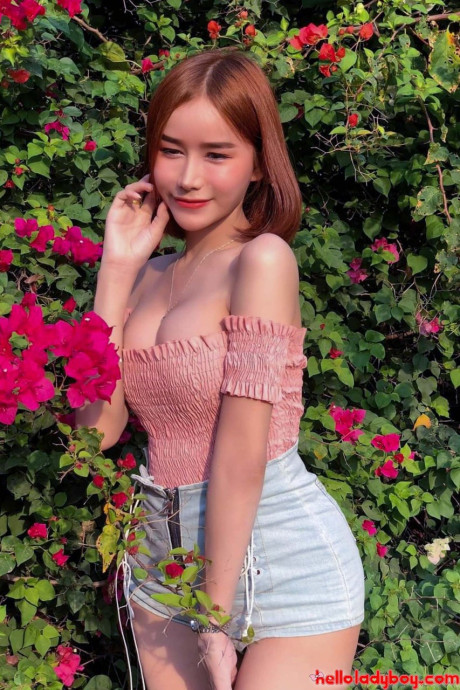 Hello lady boy