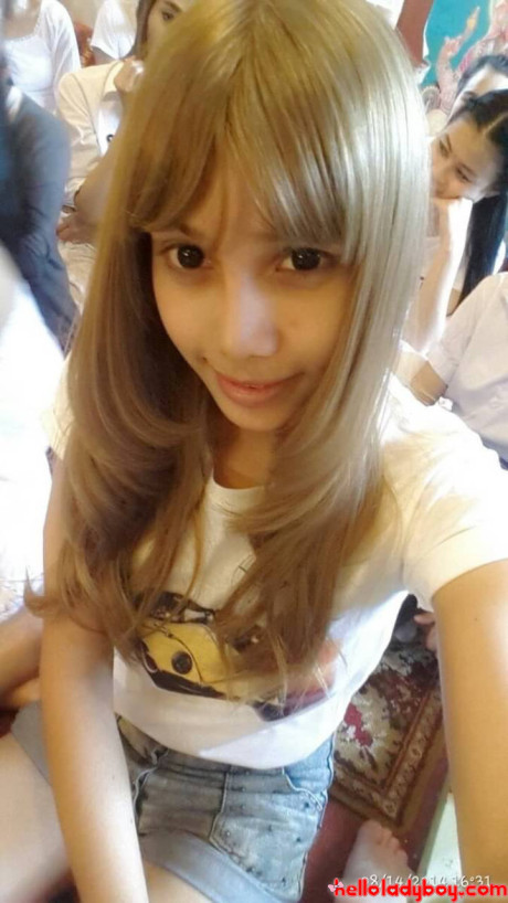 Hello ts