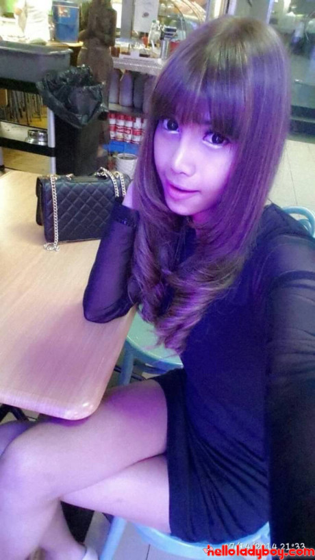 Hello ts