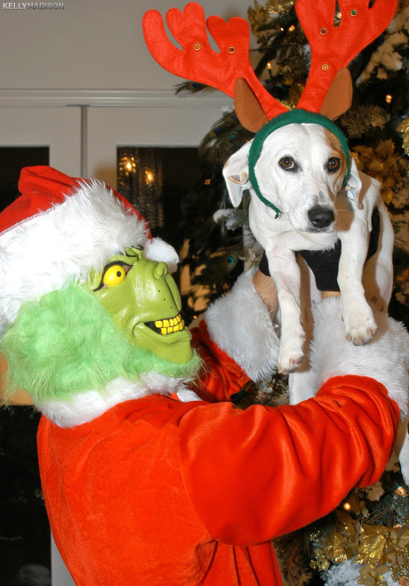 Horny fiance bf dude Ryan masked as Mr. Grinch mounts his curvy broad Kelly Madison