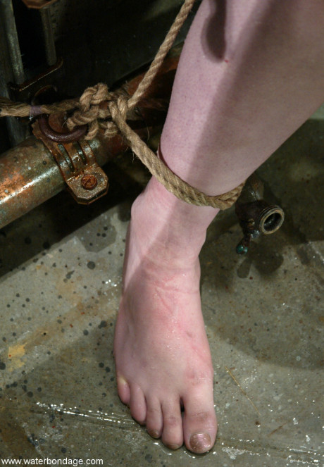 Water Bondage Caroline Pierce, Claire Adams