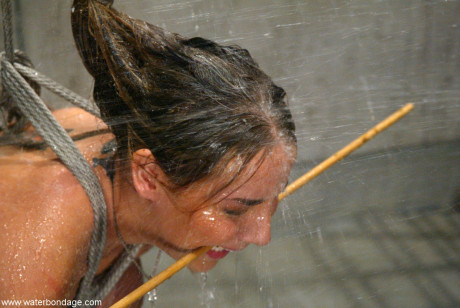 Water Bondage Delilah Strong